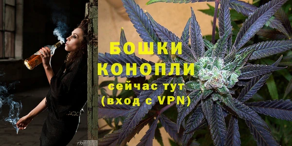 МДПВ Богородск