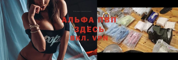 крисы Богородицк