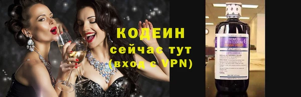 крисы Богородицк