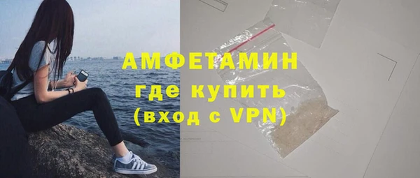 амф Бородино