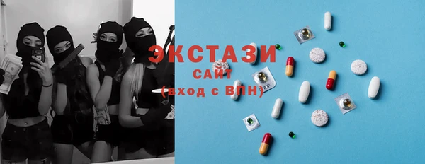 крисы Богородицк