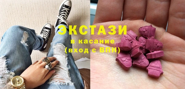 крисы Богородицк