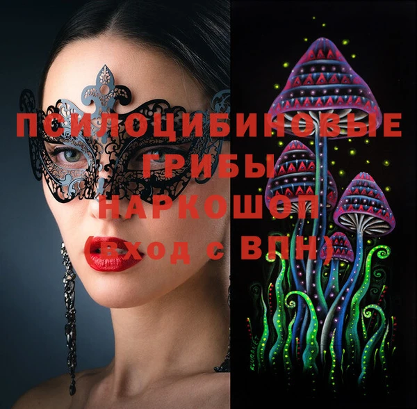 крисы Богородицк