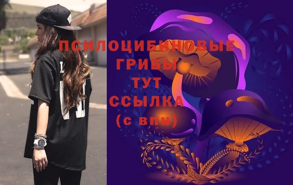 крисы Богородицк