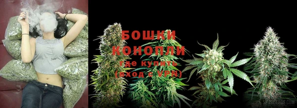 крисы Богородицк
