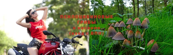 мефедрон Богданович