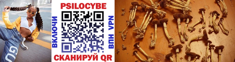 Купить где  Воскресенск  Галлюциногенные грибы Cubensis 